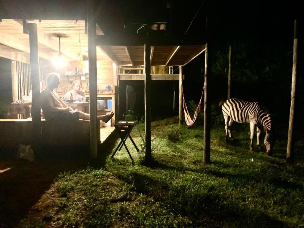 フルフルウェ Mudhouse Zululandヴィラ エクステリア 写真