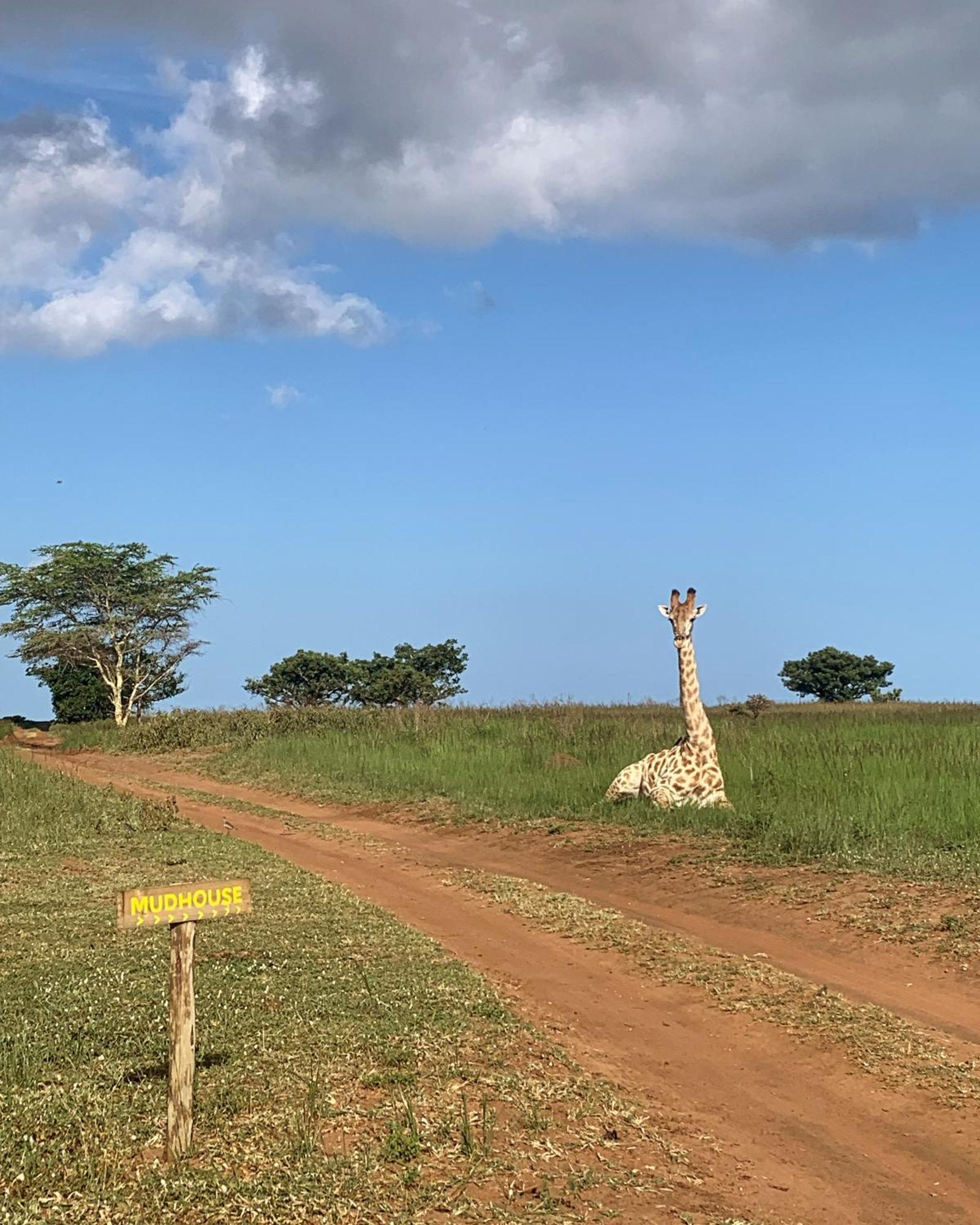 フルフルウェ Mudhouse Zululandヴィラ エクステリア 写真
