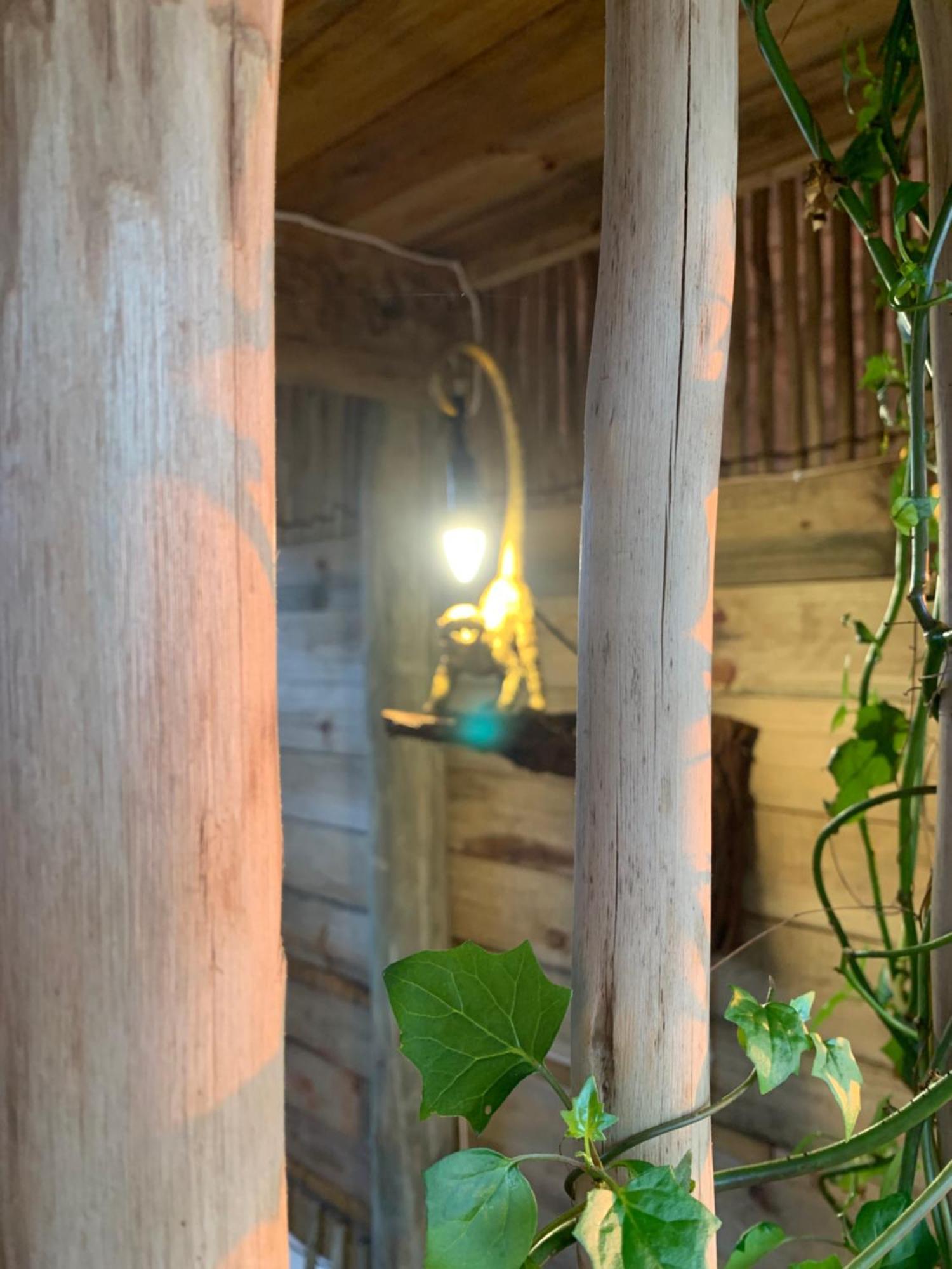 フルフルウェ Mudhouse Zululandヴィラ 部屋 写真
